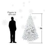 7ft