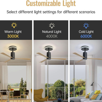 Plastic Ceiling Fans