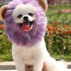 Purple Lion Hat / S