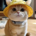 Pastel Yellow