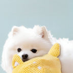 Yellow Dog / S
