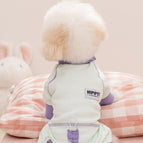 Mint Blue+Purple / XS