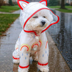 Rainbow Raincoat-red / XS