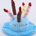 Blue Birthday Candle Hat / One Size