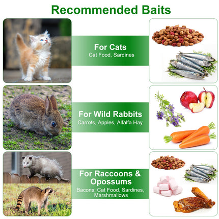 2Pcs 18x8x10In Humane Single Door Live Animal Trap Collapsible Galvanized Iron Animal Cage Catch And Release For Small Squirrel Raccoon Feral Cat Weasel Armadillo Opossum