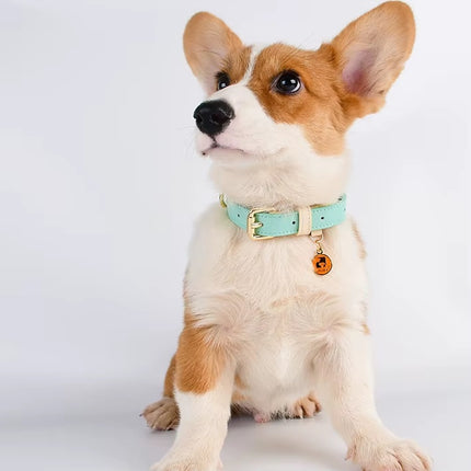 S M L Dog Collar