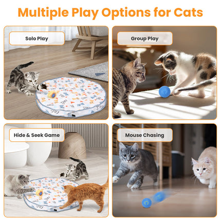1Pc Cat Toys Ball Fast Rolling In Pouch Rechargeable Motion Activated Interactive Cat Toys For Indoor Cats Hide And Seek Mouse Catching Game