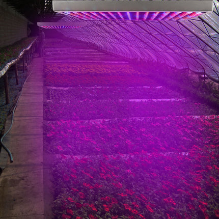 1 Set LED Grow Light Full Spectrum Hanging 225 LEDs Plant Grow Lamp Indoor Grow Light For Greenhouse Succulents Seedlings Plants Veg And Flower