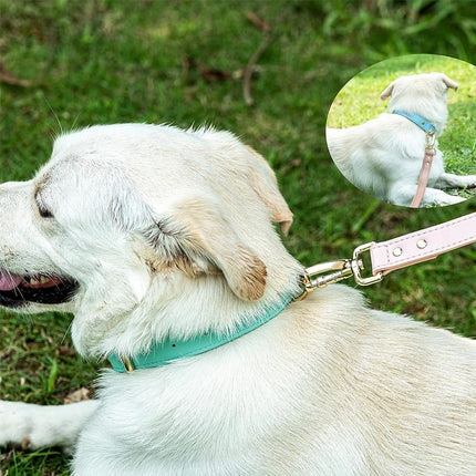 S M L Dog Collar