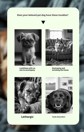 Pet Interactive Sound Ball,The Mellow Dog Cat Pet Voice Ball,Interactive Pet Squeaky Toys