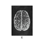 E / 10X15cm