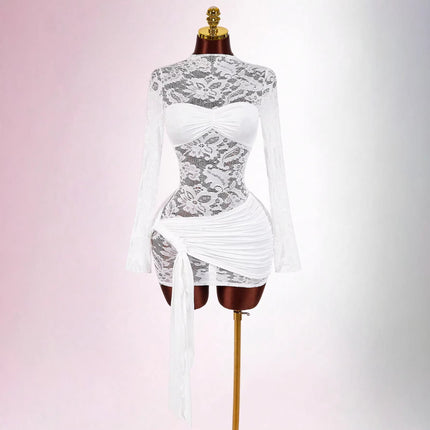 New Stylish Lace Hollow-out Sheer Dress For International Trade