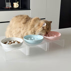 White Bowl+Frame / ONESIZE