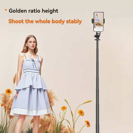 Selfie Stick Tripod With Fill Light, Extendable Phone Stand With Wireless Remote, Universal Compatible For Smartphones, Portable For Travel & Video Recording