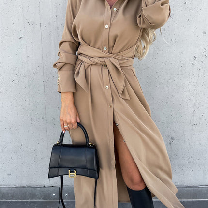 Women's Clothing Autumn And Winter Color Cardigan Long Sleeve Big Hem Dress