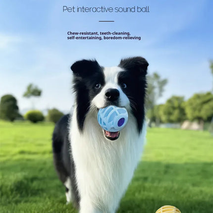 Pet Interactive Sound Ball,The Mellow Dog Cat Pet Voice Ball,Interactive Pet Squeaky Toys