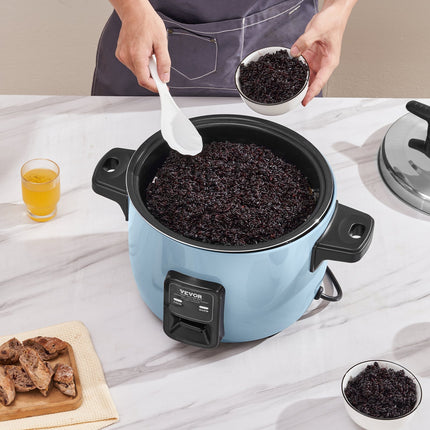Commercial Rice Cooker 50-Cup Non-Stick Pot 10L 24H Keep Warm Restaurant
