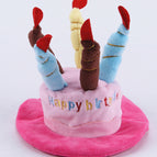 Pink Birthday Candle Hat / One Size