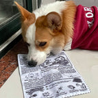 Newspaper / S