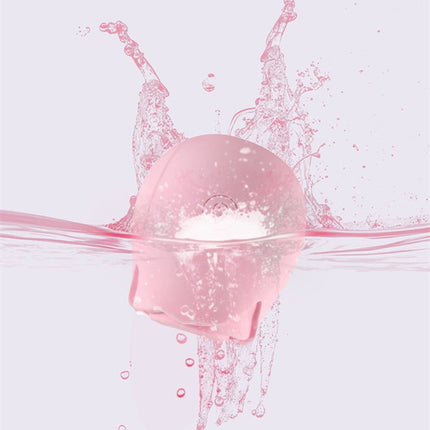 520040061
