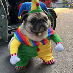 Clown Transformation Costume / S