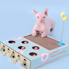 Toy Box + Shaker / ONESIZE