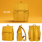 Yellow / Normal