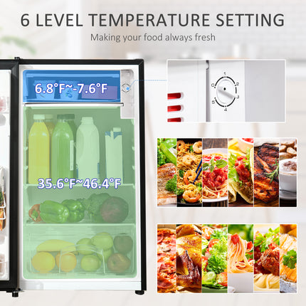 Mini Fridge with Freezer
