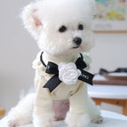 Camellia Bowknot / One Size