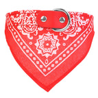 Red L