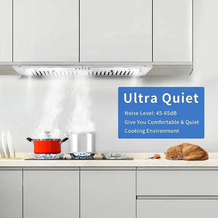 Range Hood Insert 30 Inch; Stainless Steel Kitchen Vent Hood 600CFM; Built-in Kitchen Stove Hood W/Front Button Controls And Front LED Lights; Baffle Filters; Ducted/ductless Convertible Duct