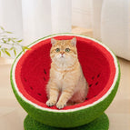 Watermelon Nest Flat Style / L