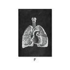 F / 10X15cm