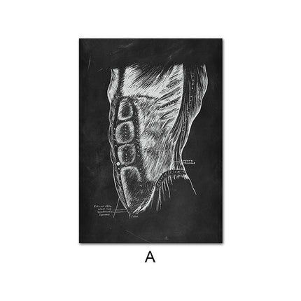 Canvas Painting Of Human Anatomy Skeleton Organ System