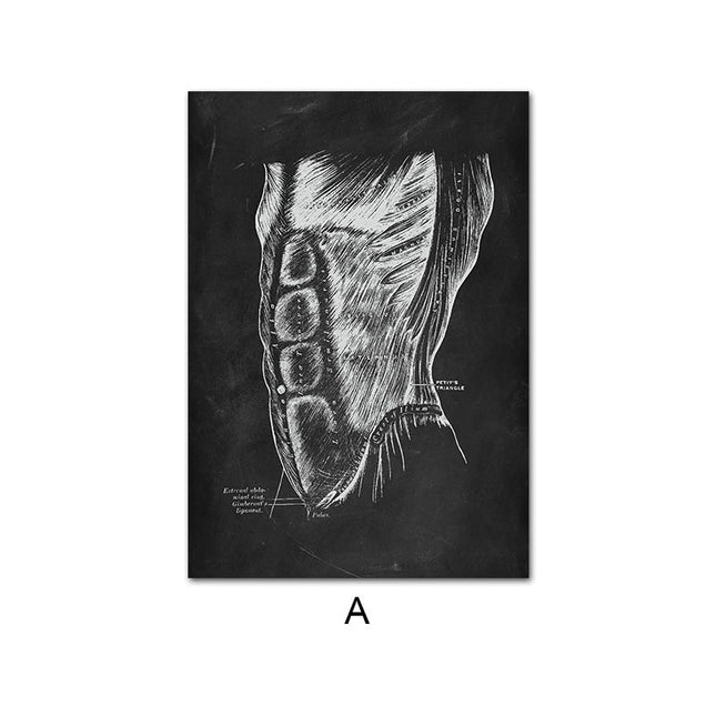 Canvas Painting Of Human Anatomy Skeleton Organ System