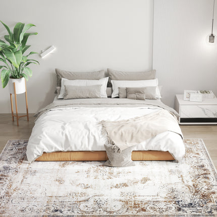 6x9 Boho Area Rug